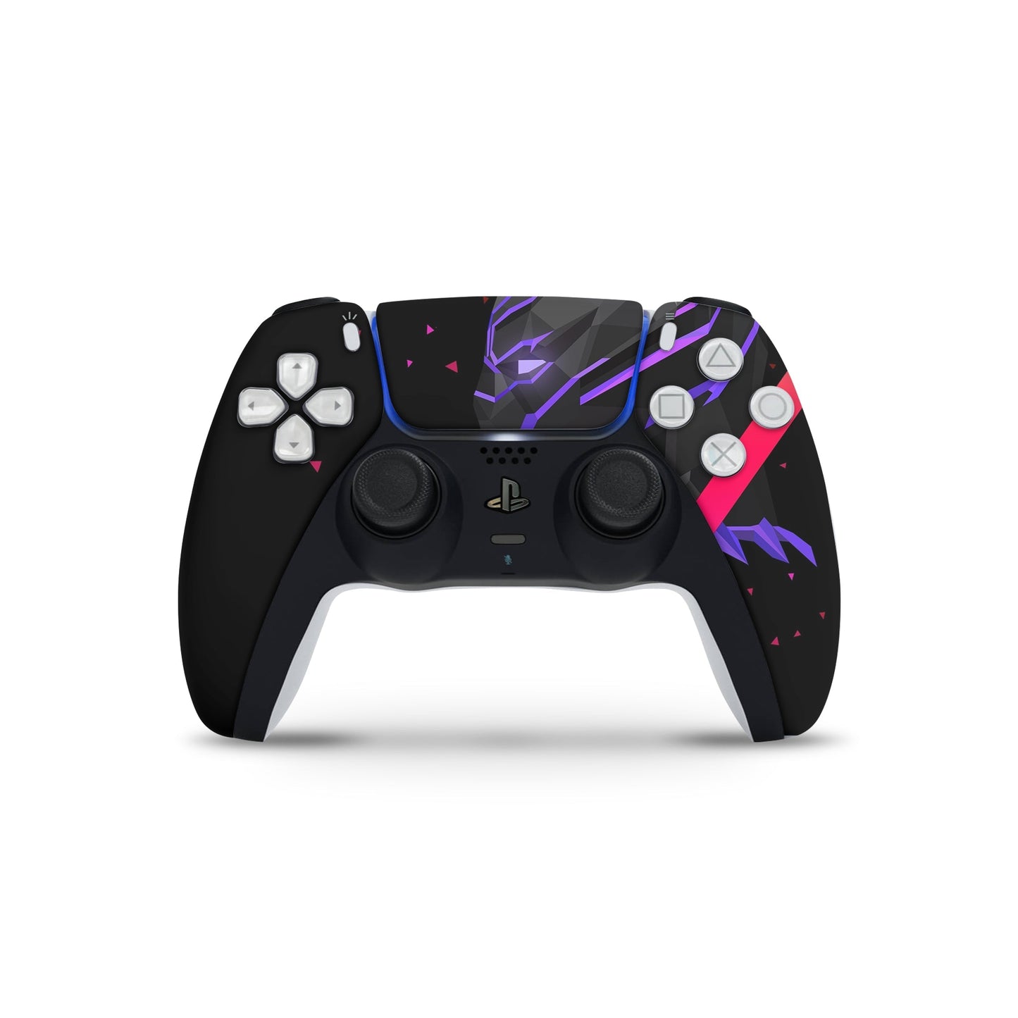 Panther Warrior PS5 Skin