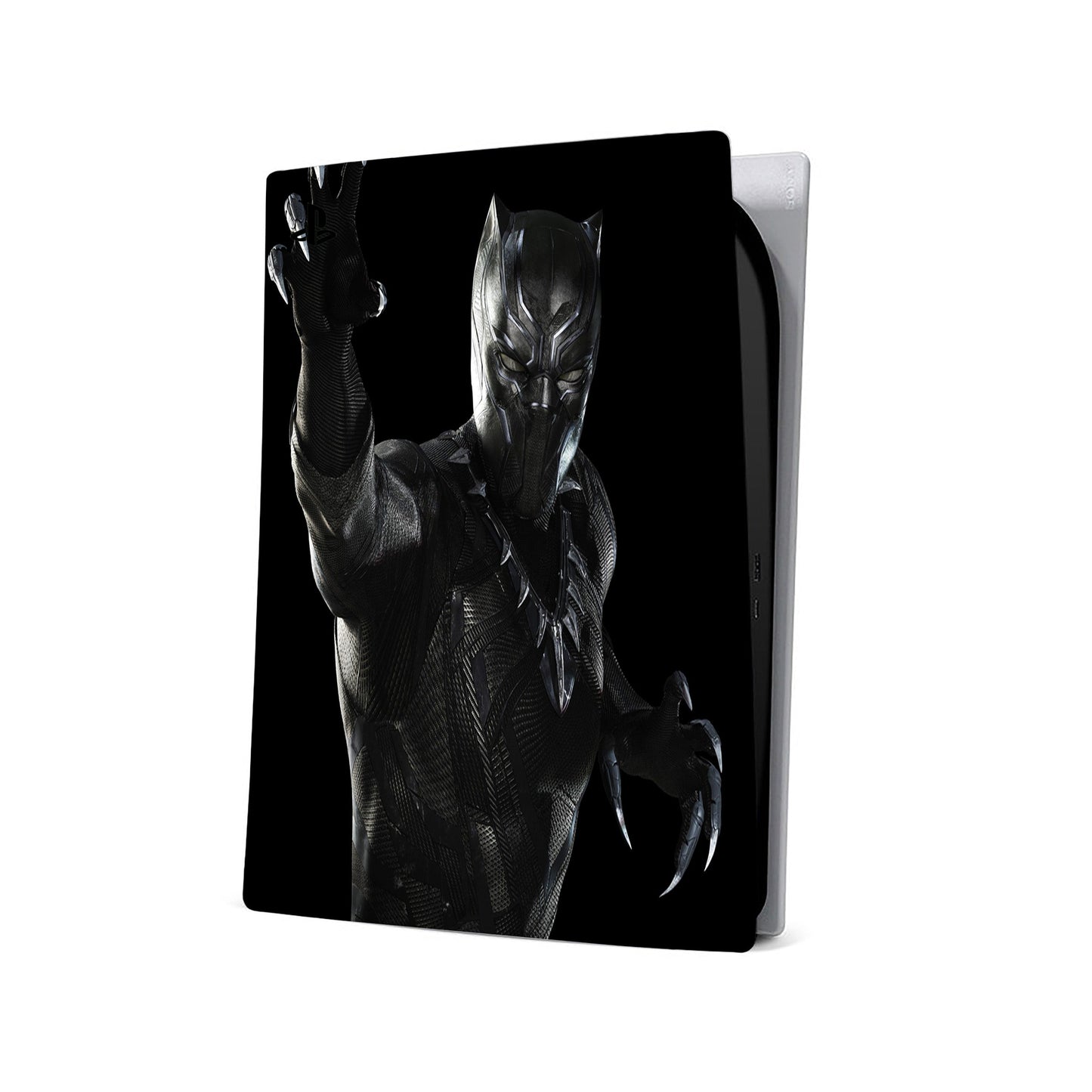 Panther Warrior PS5 Skin