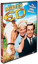 Mister Ed: Season Five (DVD) (Pre-Owned)