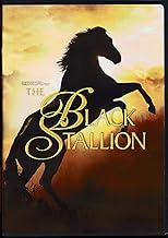 The Black Stallion Full Screen (DVD) (Pre-Owned)