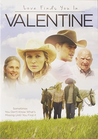 Love Finds You in Valentine Widescreen (DVD) (Pre-Owned)