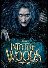 Into the Woods Widescreen (DVD) (Pre-Owned)