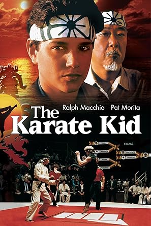 The Karate Kid (Special Edition) Widescreen (DVD) (Pre-Owned)