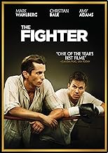 The Fighter Widescreen (DVD) (Pre-Owned)