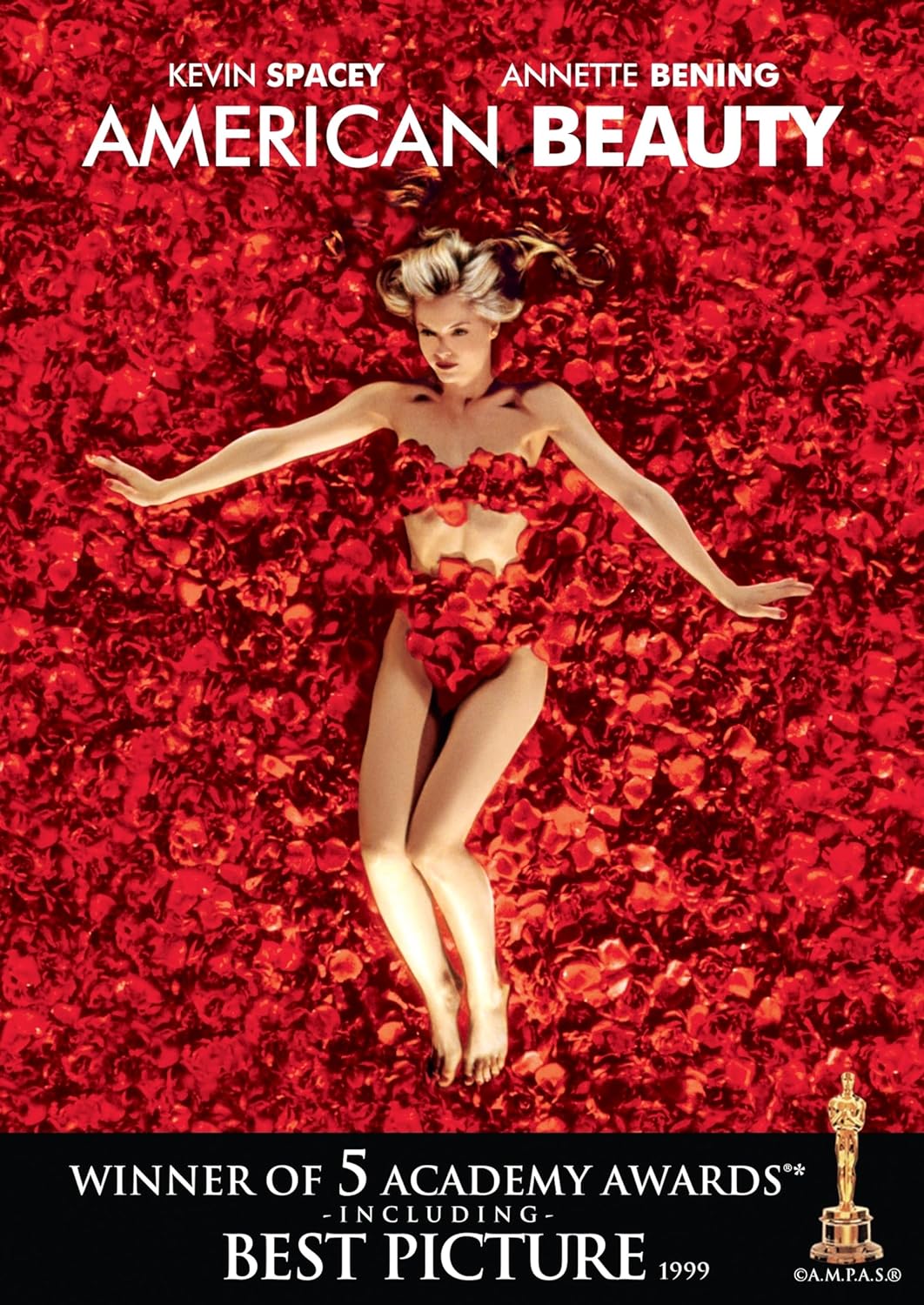American Beauty (DVD) (Pre-Owned)