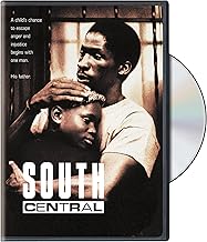 South Central Full Screen (DVD) (Pre-Owned)