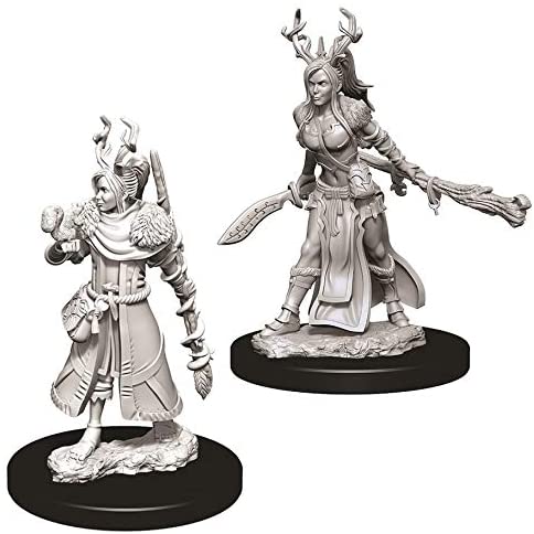 D&D Minis: Wave 2- Human Female Druid (D&D)