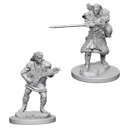 D&D Minis: Ola 4- Bardo masculino humano (D&D)