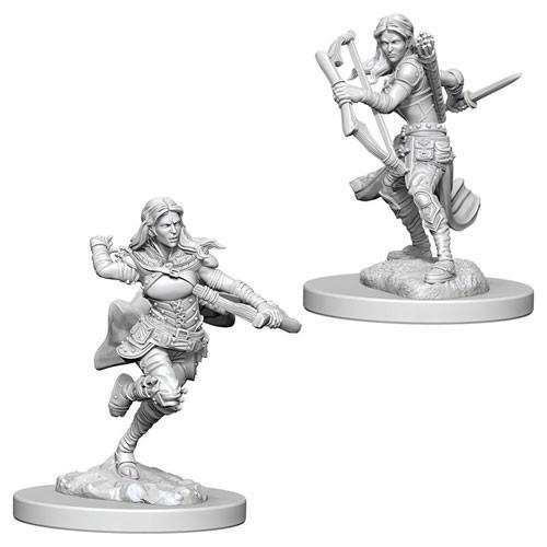 D&D Minis: Wave 4- Air Genasi Female Rogue (D&D)