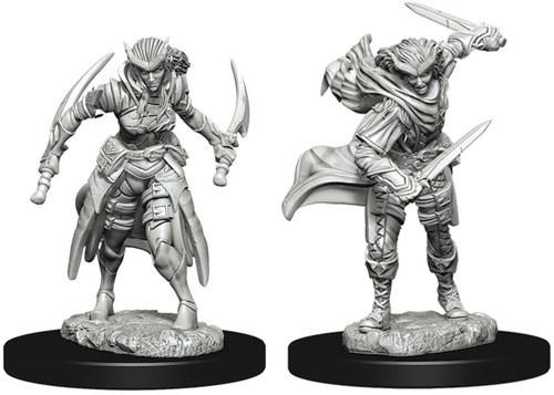 D&D Minis: Wave 7- Tiefling Female Rogue (D&D)