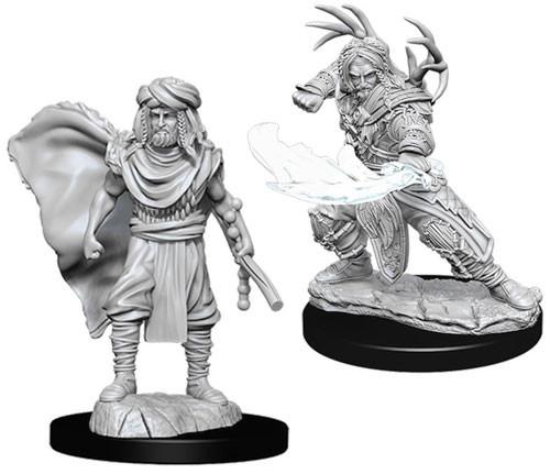 D&D Minis: Ola 6- Druida humano masculino (D&D)