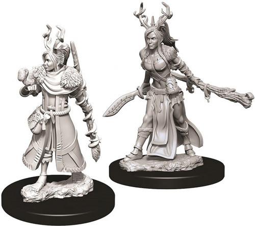D&D Minis: Ola 9 - Druida humana femenina (D&D)