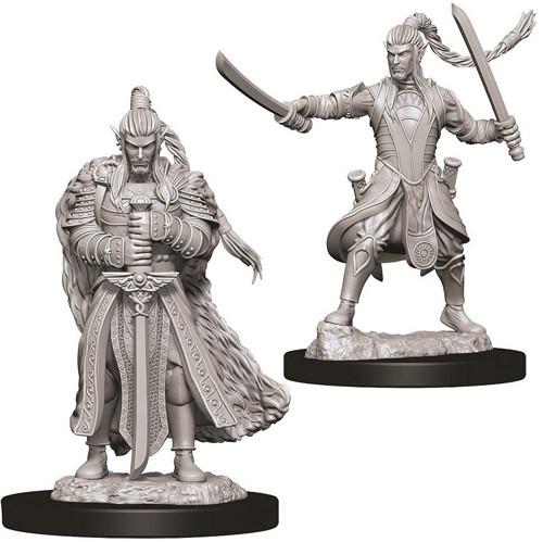 D&D Minis: Ola 9 - Paladín elfo masculino (D&D)
