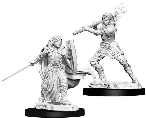 D&D Minis: Wave 10- Female Human Paladin (D&D)