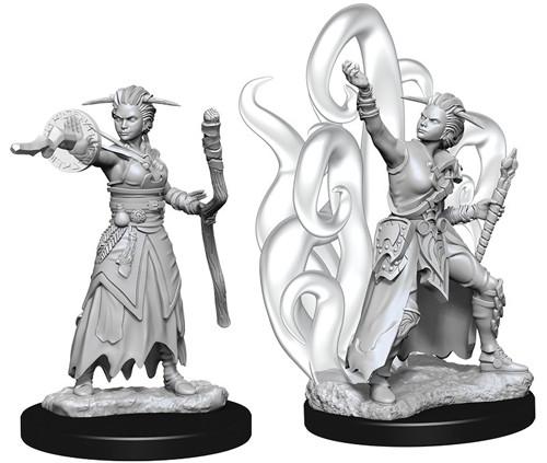 D&D Minis: Wave 10- Female Human Warlock (D&D)
