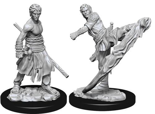 D&D Minis: Ola 10 - Monje semielfo masculino (D&D)