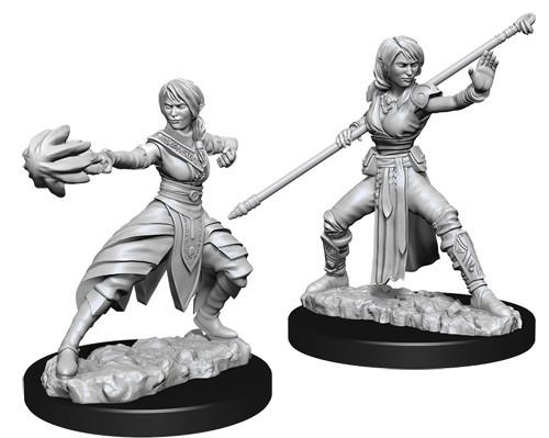 D&D Minis: Wave 10- Female Half-Elf Monk (D&D)