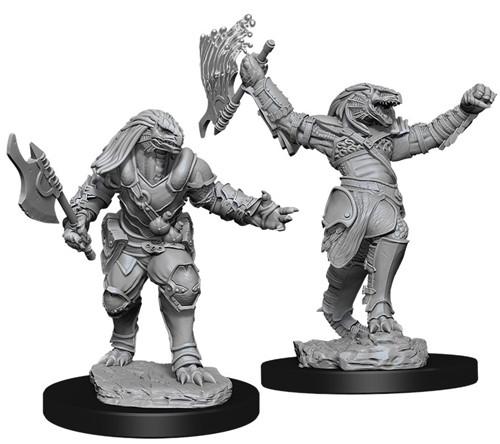 D&D Minis: Wave 11- Female Dragonborn Fighter (D&D)