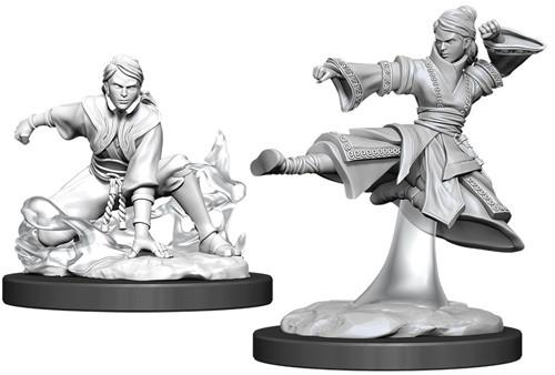 D&D Minis: Wave 11- Female Human Monk (D&D)