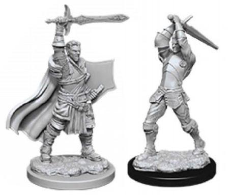 D&D Minis: Ola 12 - Paladín humano masculino (D&D)