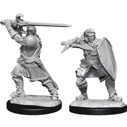 D&D Minis: Wave 14- Human Paladin Male (D&D)