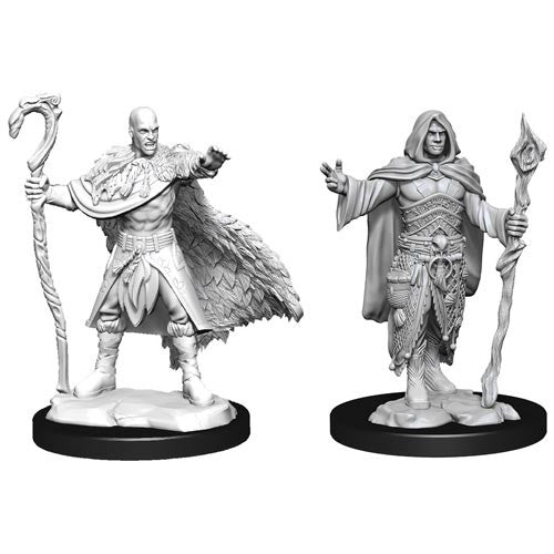 D&D Minis: Wave 14- Human Druid Male (D&D)