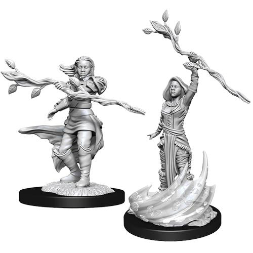 D&D Minis: Ola 14- Mujer druida humana (D&D)