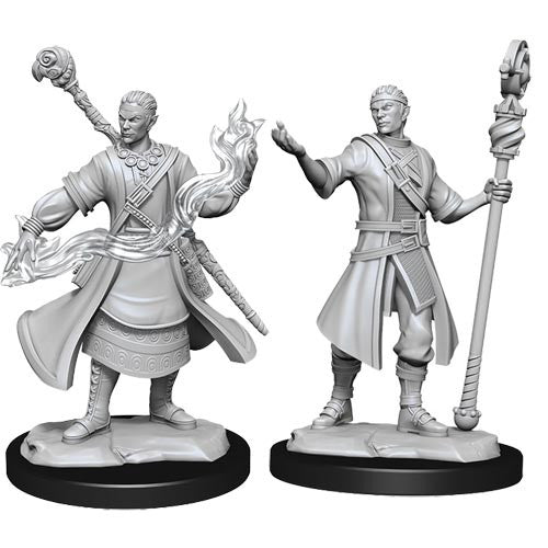 D&D Minis: Wave 14- Half-Elf Wizard Male (D&D)