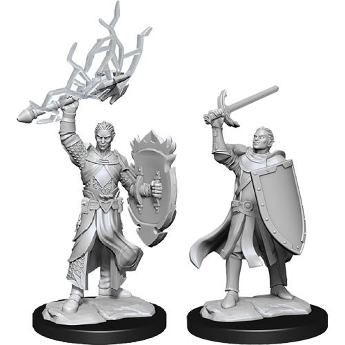 D&D Minis: Wave 14- Half-Elf Paladin Male (D&D)