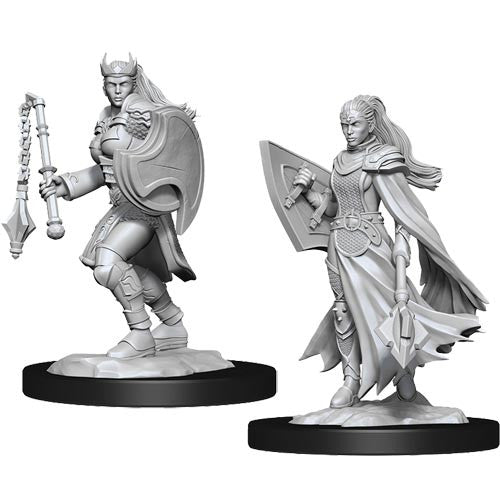 D&D Minis: Wave 14- Kalashtar Cleric Female (D&D)
