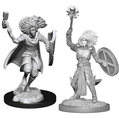 D&D Minis: Wave 14- Changeling Cleric Male (D&D)
