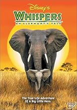Whispers: An Elephant's Tale (DVD) (Pre-Owned)