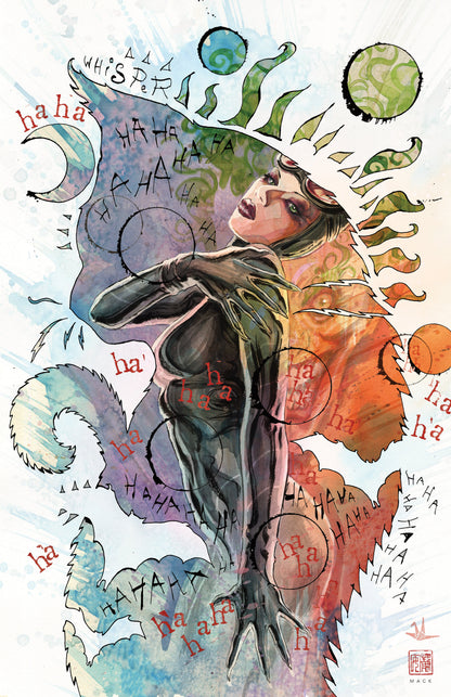 Batman & The Joker The Deadly Duo #4 (Of 7) C David Mack Catwoman Variant (02/07/2023) Dc
