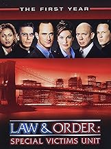 Law & Order: Special Victims Unit: Season One (DVD) (Pre-Owned)