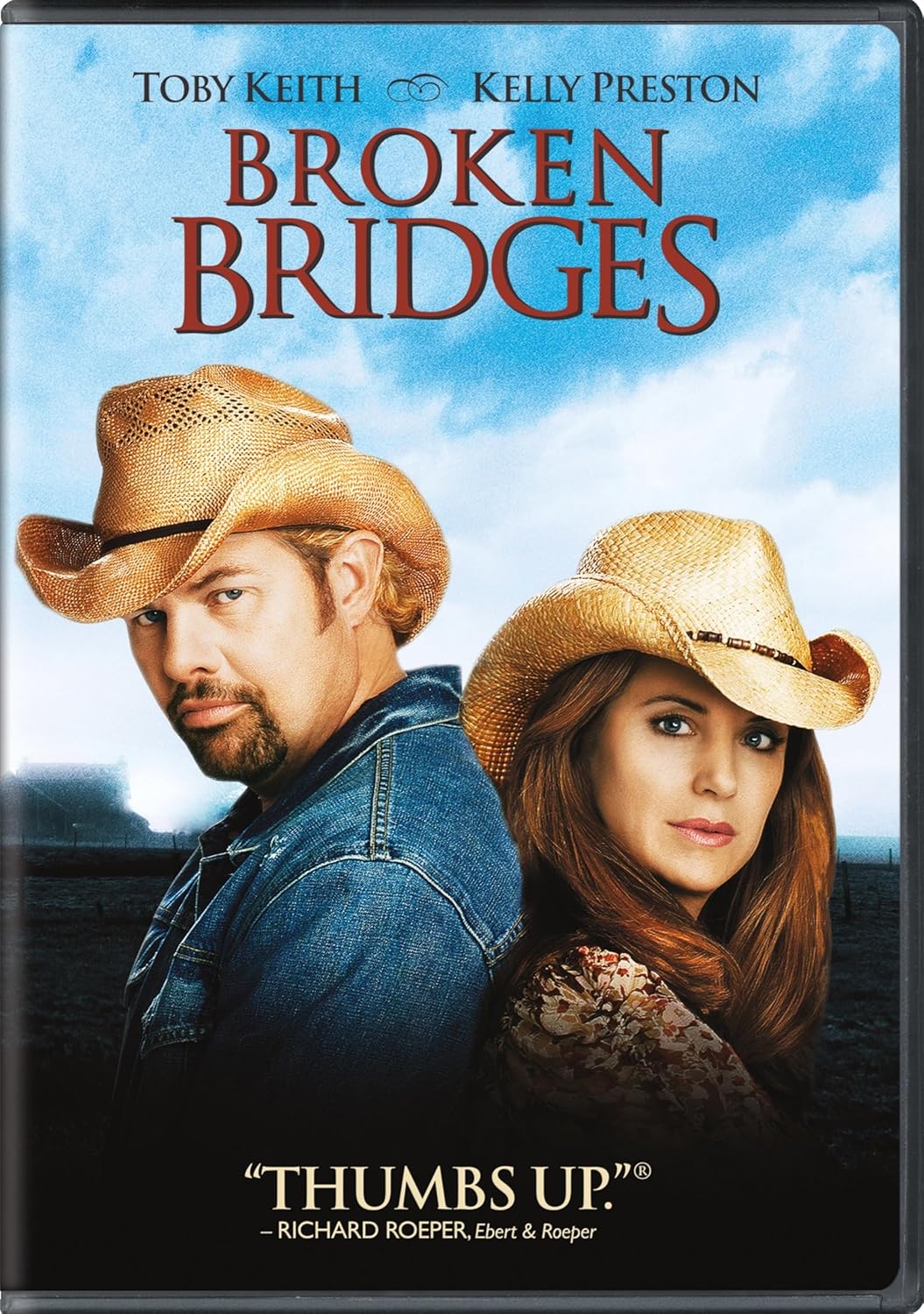 Broken Bridges Widescreen (DVD) (Pre-Owned)