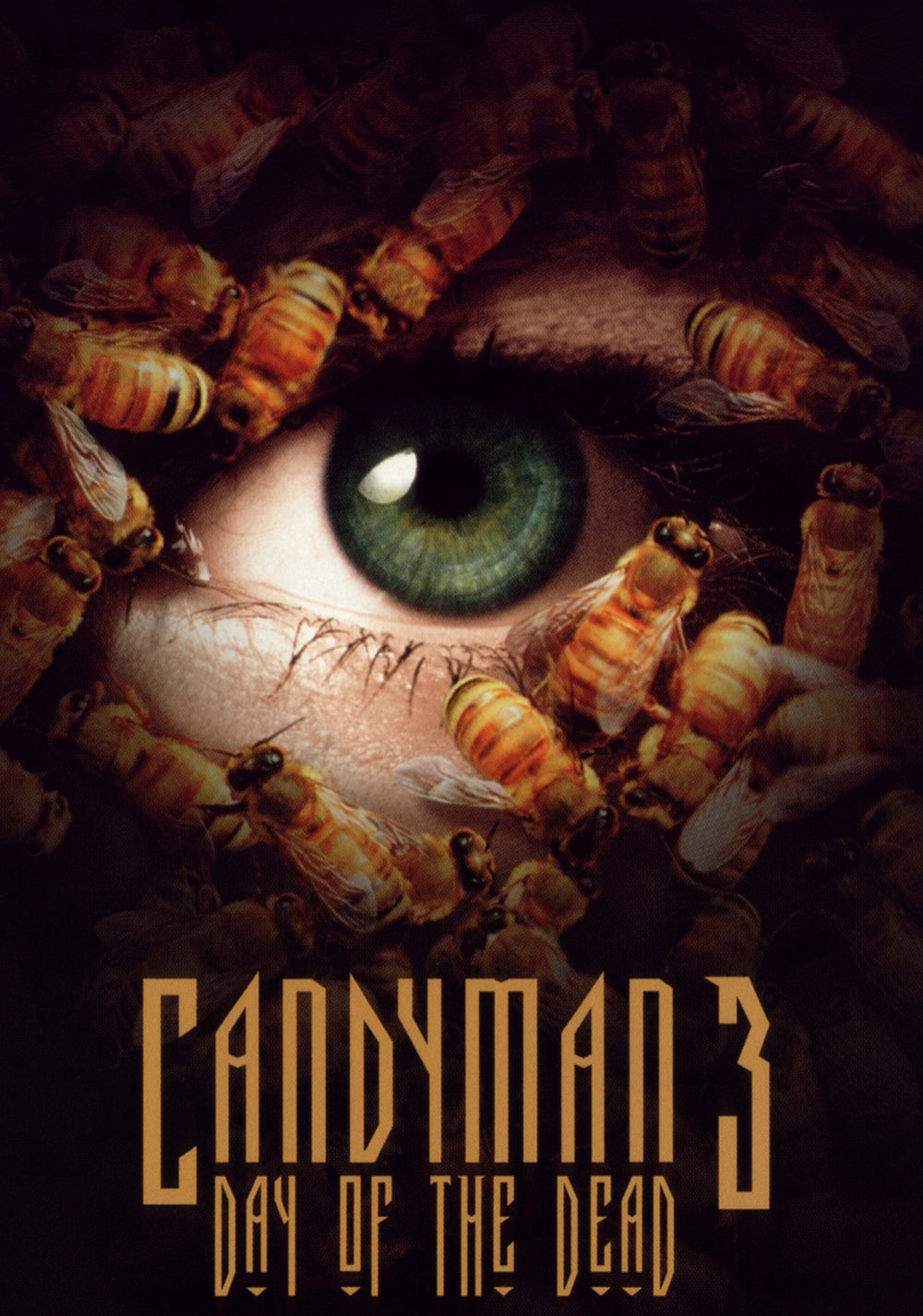 Candyman 3: Day of the Dead (DVD)
