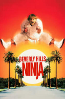 Beverly Hills Ninja (DVD) (Pre-Owned)