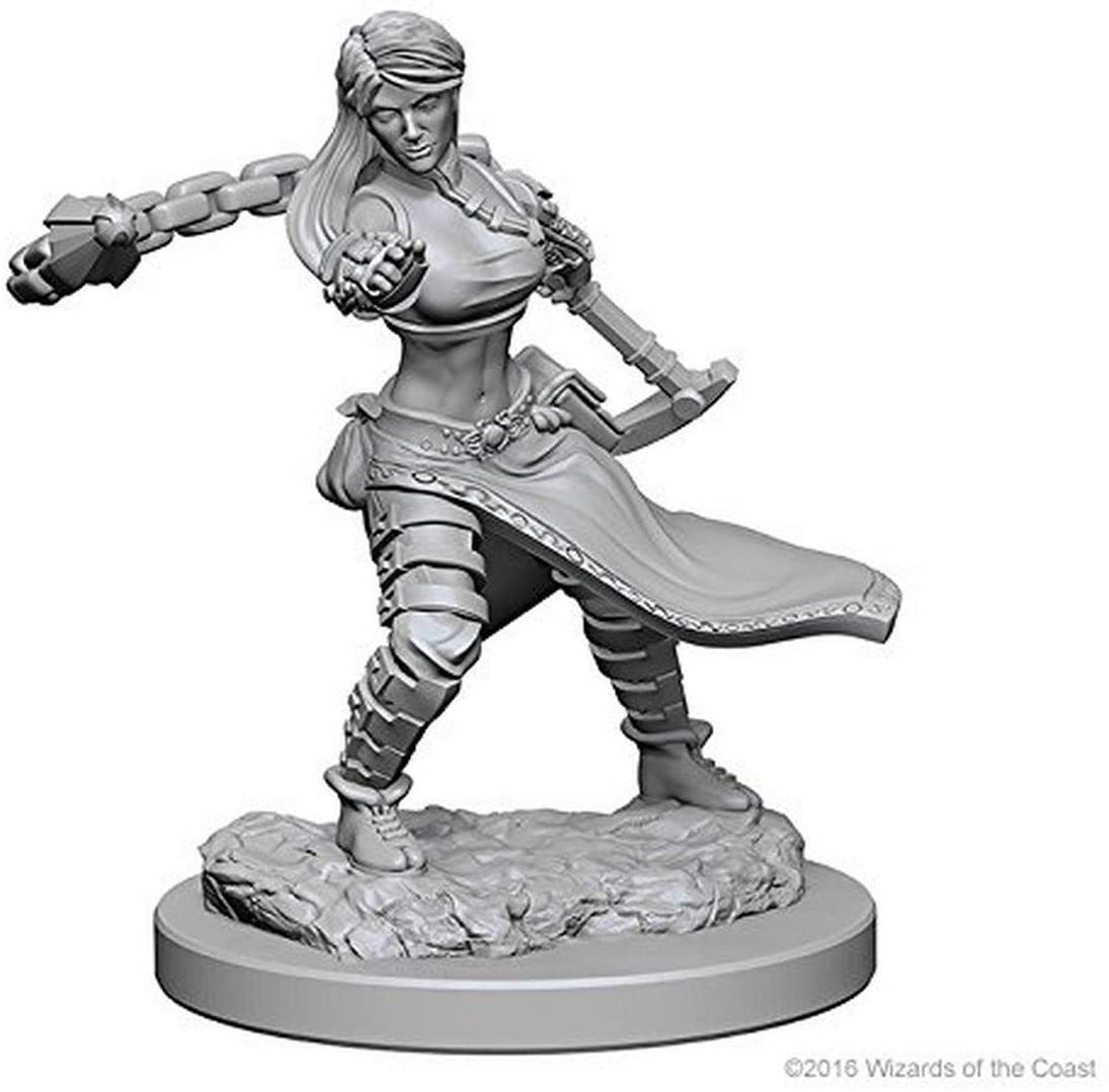 D&D Minis: Wave 1- Human Female Monk (D&D)