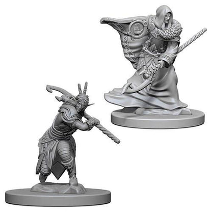 D&amp;D Minis: Ola 4 - Druida macho elfo (D&amp;D)