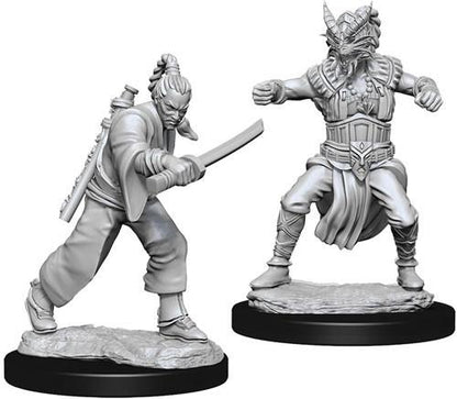 D&D Minis: Wave 8- Male Human Monk (D&D)