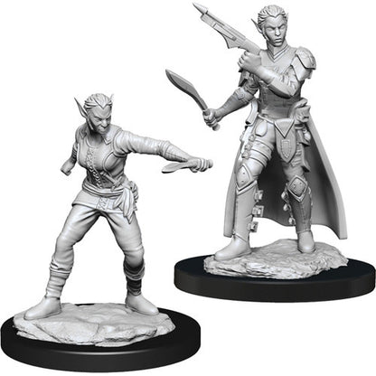 D&D Minis: Wave 13- Shifter Rogue Female (D&D)