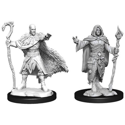 D&D Minis: Wave 14- Human Druid Male (D&D)