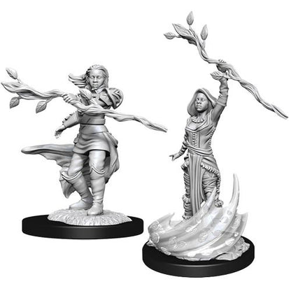 D&amp;D Minis: Ola 14- Mujer druida humana (D&amp;D)