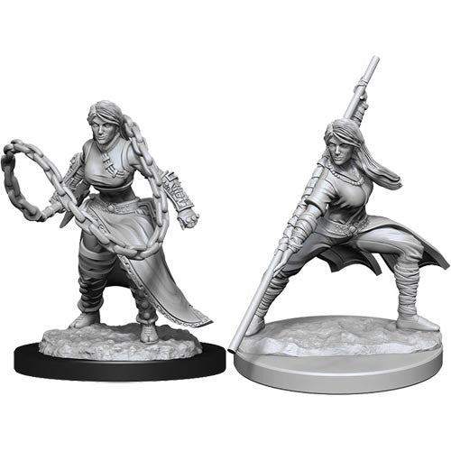 D&amp;D Minis: Ola 14 - Mujer monje humana (D&amp;D)
