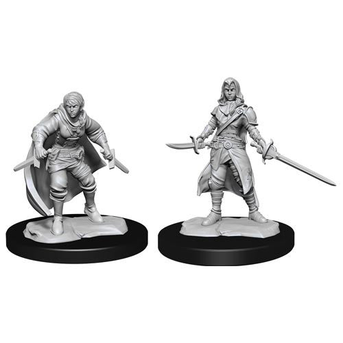 D&D Minis: Wave 14- Half-Elf Rogue  Female (D&D)