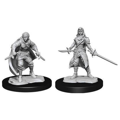 D&D Minis: Wave 14- Half-Elf Rogue  Female (D&D)