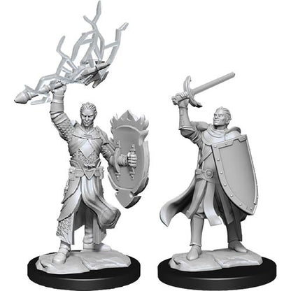 D&D Minis: Wave 14- Half-Elf Paladin Male (D&D)