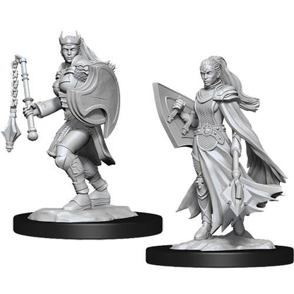 D&D Minis: Wave 14- Kalashtar Cleric  Female (D&D)