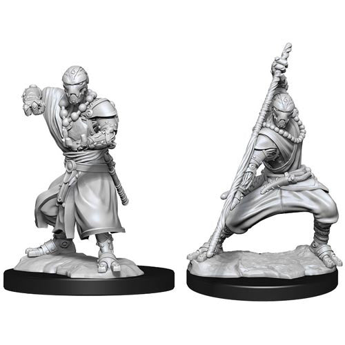 D&D Minis: Wave 14- Warforged Monk (D&D)