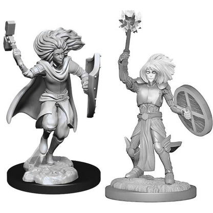 D&D Minis: Wave 14- Changeling Cleric Male (D&D)